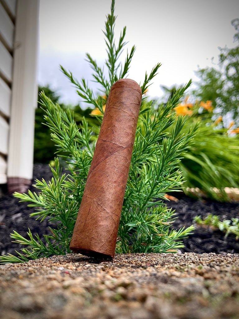Illusione Cigars SSR Review