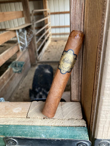 Barn Work Sessions: Warped Cigars Chinchalle